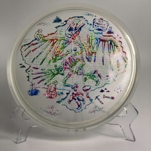 Top view of green Innova Roc in Champion plastic - 2021 USDGC Jurassic Roc with collector's edition certification.